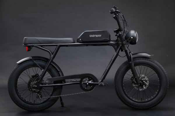 _54A0981 M28 Mountain Electric Bicycle | 48V 500W Motor