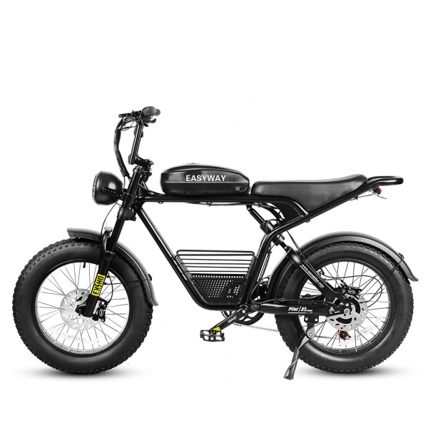 M20 Mountain Electric Bike | 48V 18Ah Battery