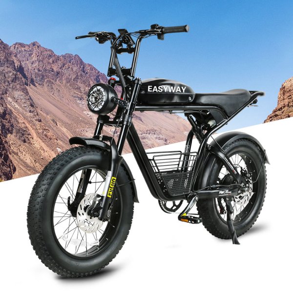 M20 Mountain Electric Bike | 48V 18Ah Battery