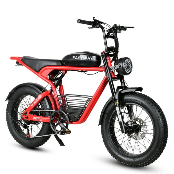 M20 Mountain Electric Bike | 48V 18Ah Battery