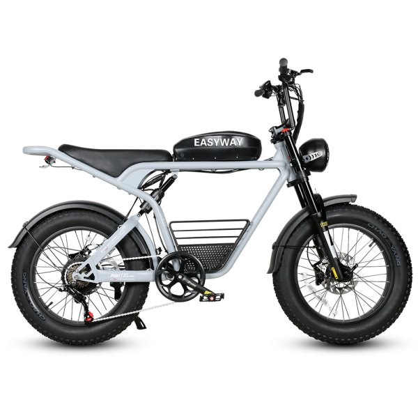 M20 Mountain Electric Bike | 48V 18Ah Battery