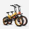 C2 Foldable E-Bike | 750W Motor, 48V12.8Ah Battery, Fat Tire Folding Electric Bike