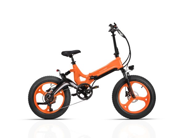 C2 Foldable E-Bike | 750W Motor, 48V12.8Ah Battery, Fat Tire Folding Electric Bike