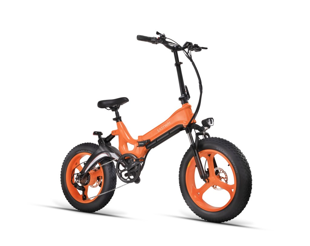 C2 Foldable E-Bike | 750W Motor, 48V12.8Ah Battery, Fat Tire Folding Electric Bike