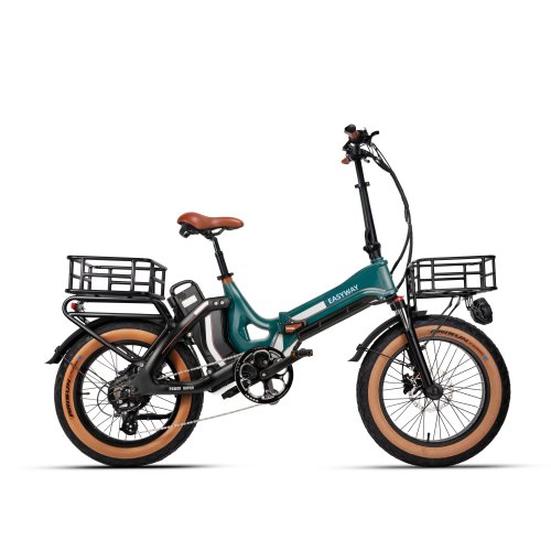 C15 Foldable Electric Bike | 750W Dual Battery, Long Range Mobility
