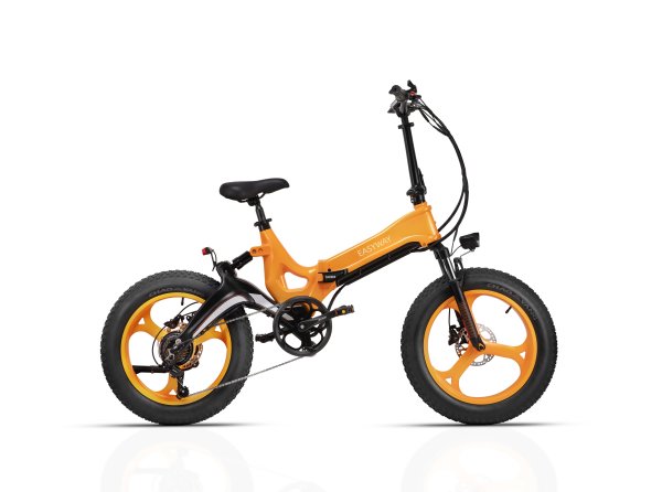 C2 Foldable E-Bike | 750W Motor, 48V12.8Ah Battery, Fat Tire Folding Electric Bike