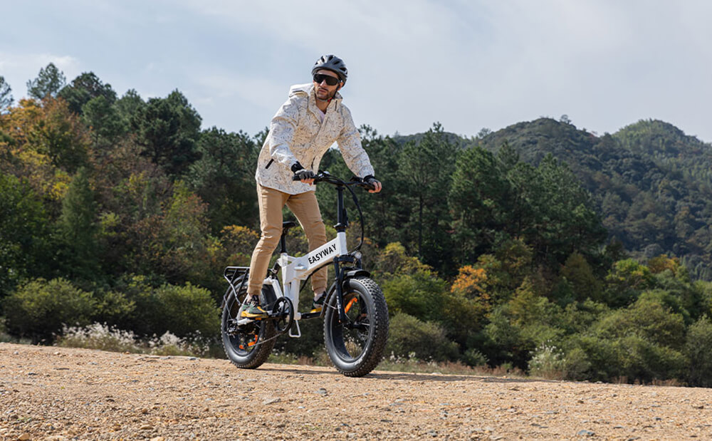 product X38.jpg 5 e-bike