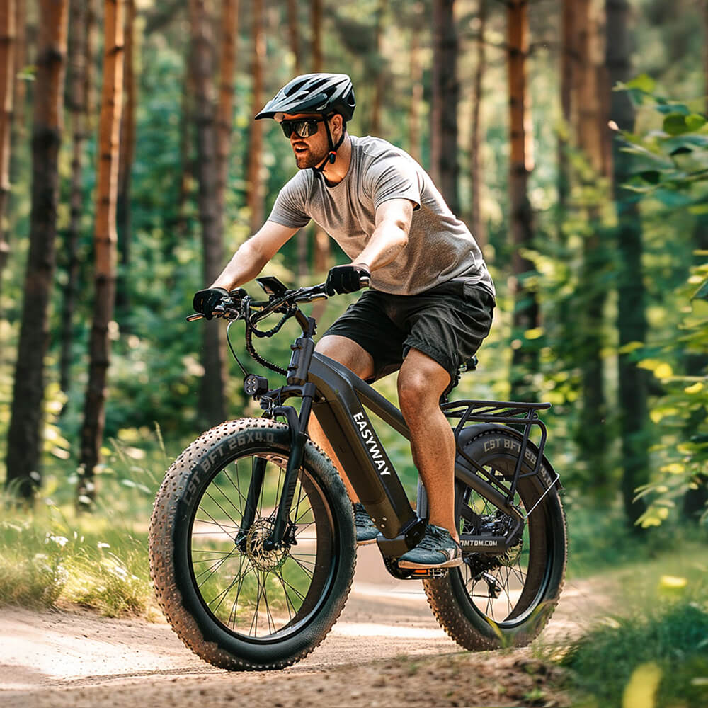 a01 e-bike
